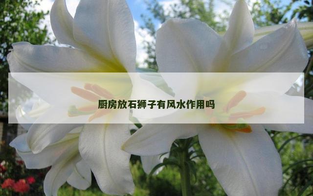 厨房放石狮子有风水作用吗