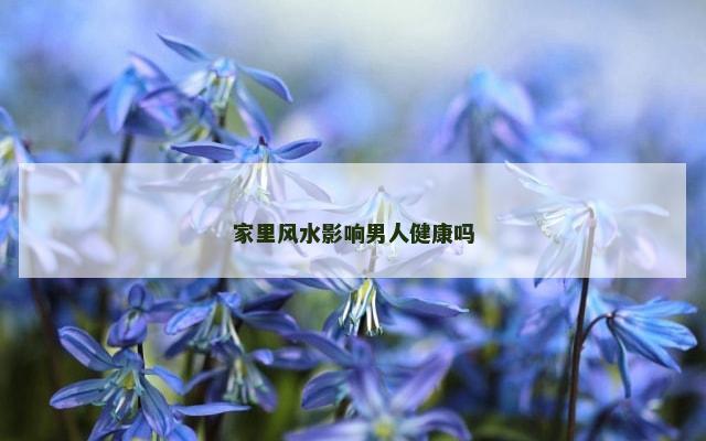 家里风水影响男人健康吗