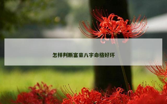 怎样判断富豪八字命格好坏