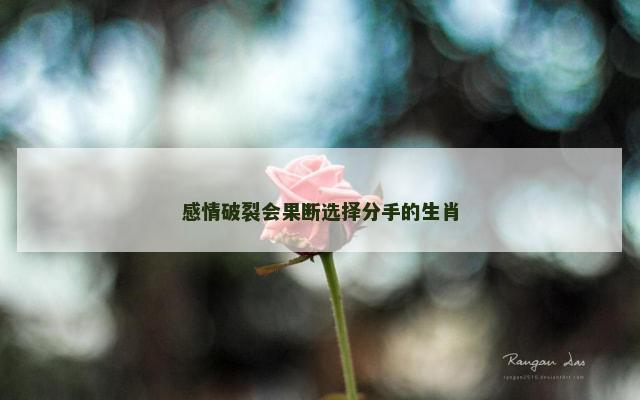 感情破裂会果断选择分手的生肖
