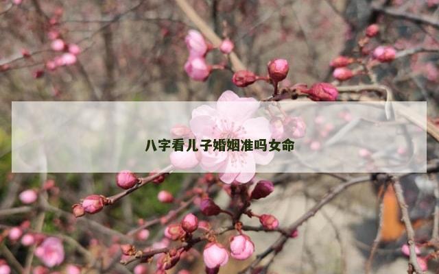 八字看儿子婚姻准吗女命