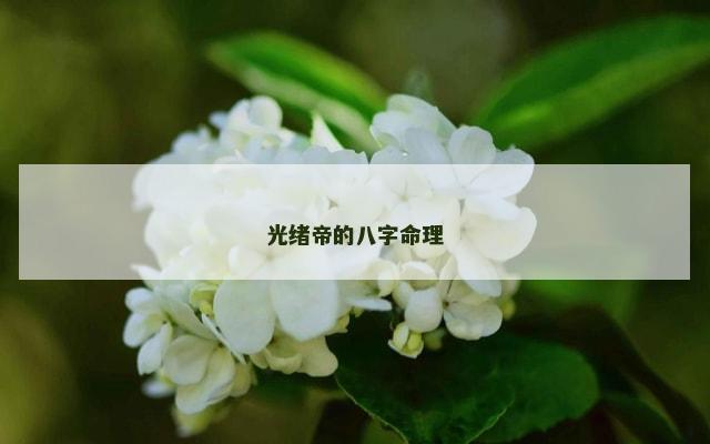 光绪帝的八字命理