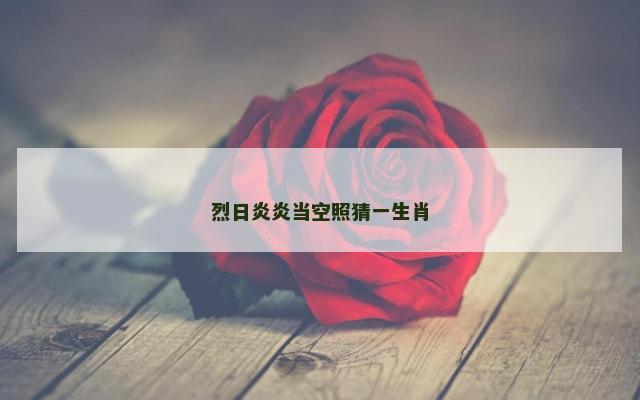 烈日炎炎当空照猜一生肖