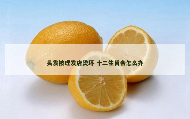 头发被理发店烫坏 十二生肖会怎么办