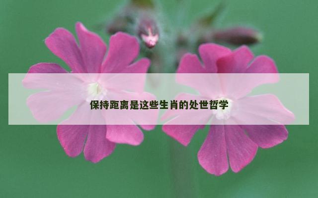 保持距离是这些生肖的处世哲学