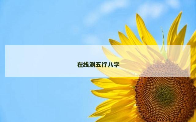 在线测五行八字