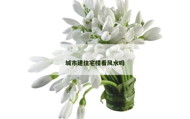 城市建住宅楼看风水吗