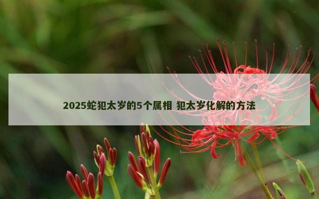 2025蛇犯太岁的5个属相 犯太岁化解的方法