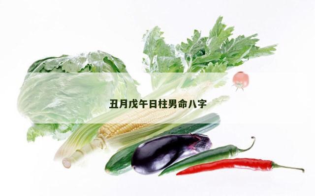 丑月戊午日柱男命八字