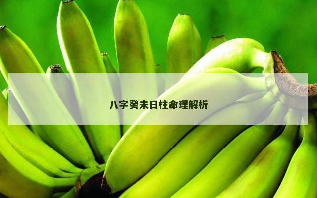 八字癸未日柱命理解析