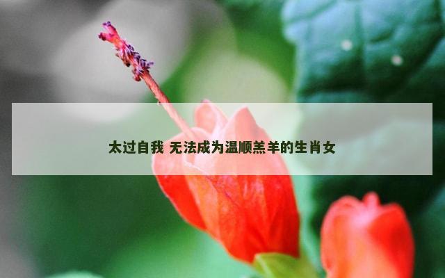 太过自我 无法成为温顺羔羊的生肖女