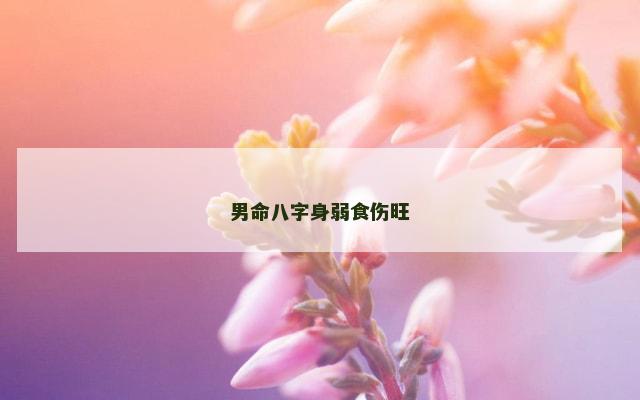 男命八字身弱食伤旺