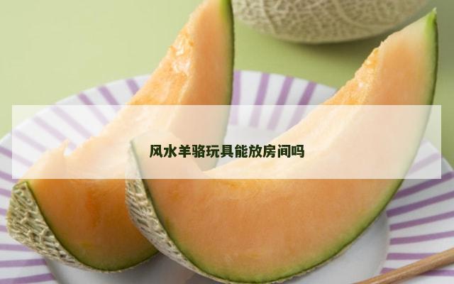 风水羊骆玩具能放房间吗