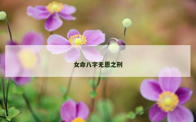 女命八字无恩之刑