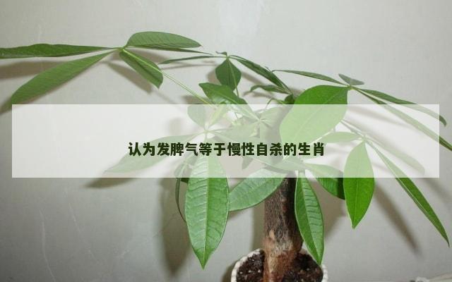 认为发脾气等于慢性自杀的生肖