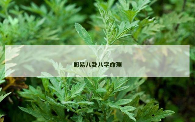 周易八卦八字命理