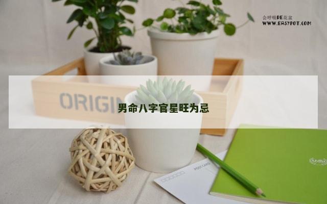 男命八字官星旺为忌