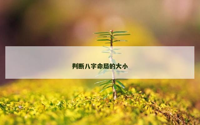 判断八字命局的大小