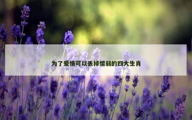 为了爱情可以丢掉懦弱的四大生肖