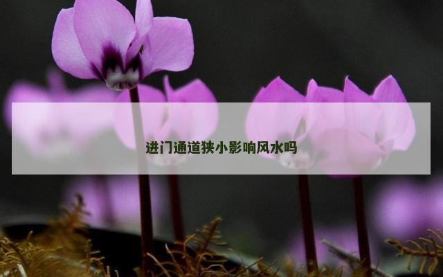 进门通道狭小影响风水吗