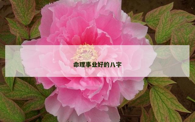 命理事业好的八字