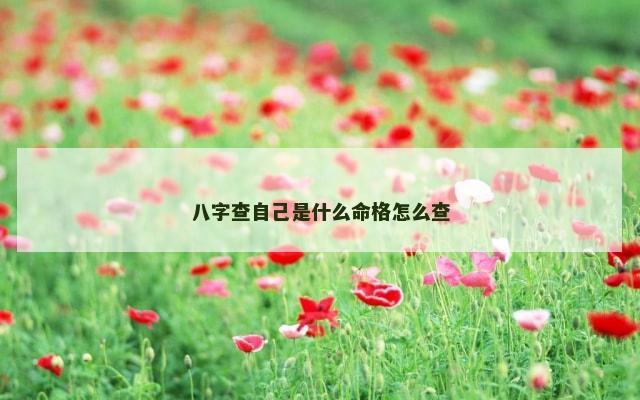 八字查自己是什么命格怎么查