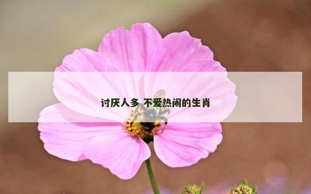 讨厌人多 不爱热闹的生肖