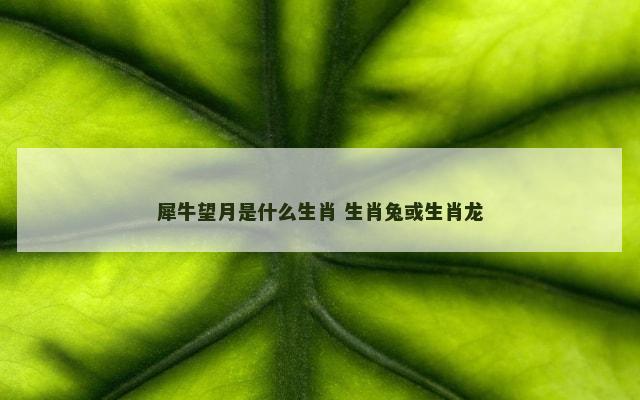 犀牛望月是什么生肖 生肖兔或生肖龙