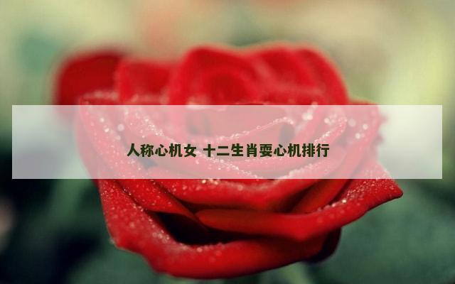 人称心机女 十二生肖耍心机排行