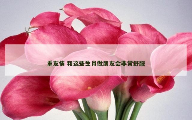 重友情 和这些生肖做朋友会非常舒服