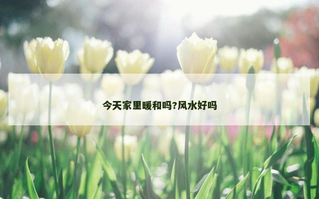 今天家里暖和吗?风水好吗
