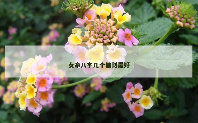 女命八字几个偏财最好
