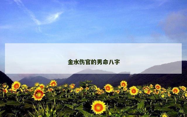 金水伤官的男命八字