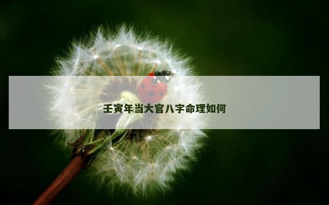 壬寅年当大官八字命理如何