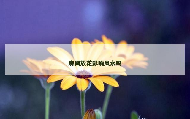 房间放花影响风水吗