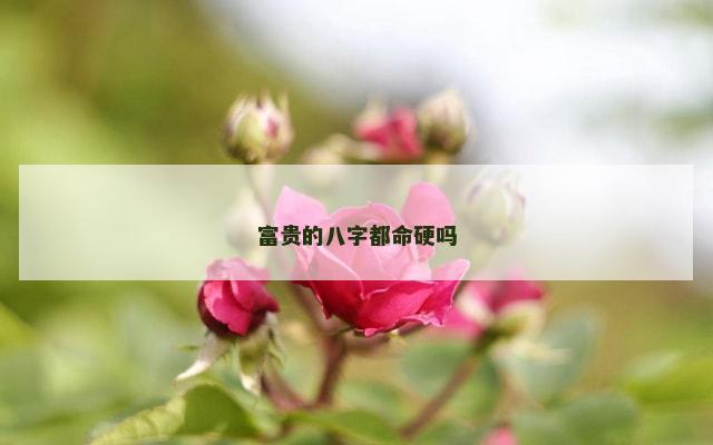 富贵的八字都命硬吗