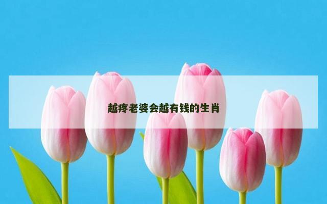 越疼老婆会越有钱的生肖