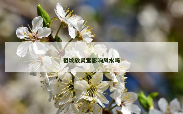 祖坟放灵堂影响风水吗