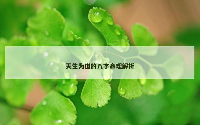 天生为道的八字命理解析