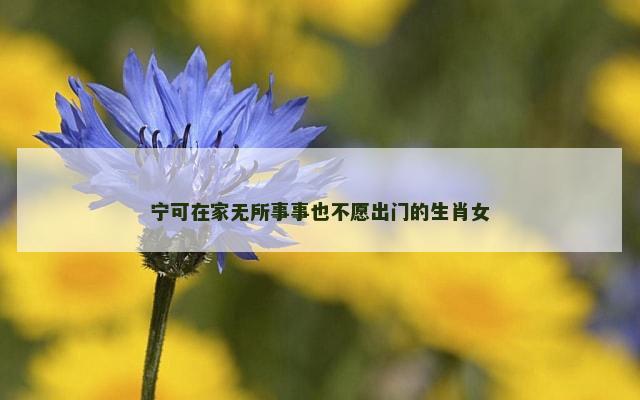宁可在家无所事事也不愿出门的生肖女