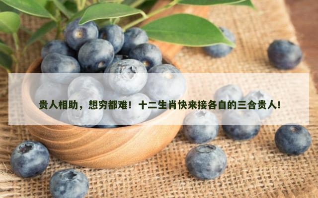 贵人相助，想穷都难！十二生肖快来接各自的三合贵人！