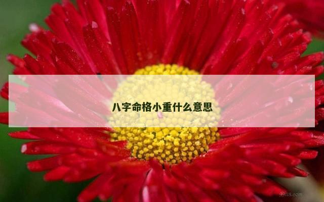 八字命格小重什么意思