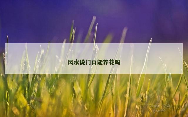 风水说门口能养花吗