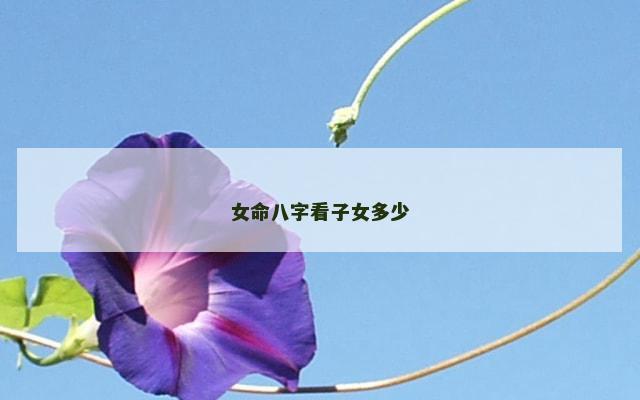 女命八字看子女多少