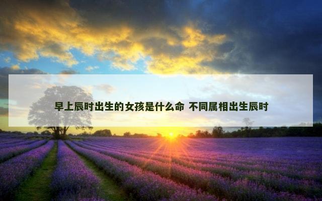 早上辰时出生的女孩是什么命 不同属相出生辰时
