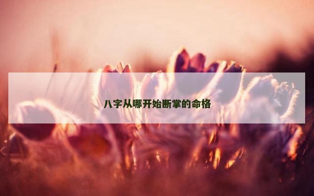 八字从哪开始断掌的命格