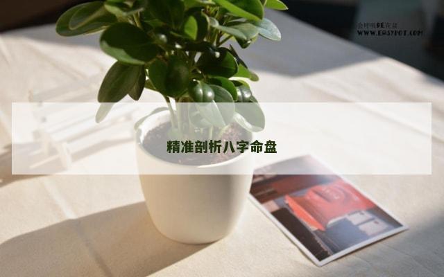 精准剖析八字命盘