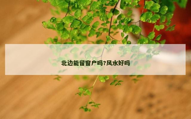 北边能留窗户吗?风水好吗