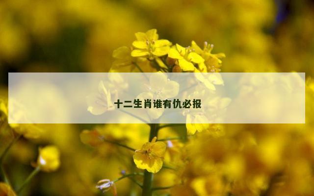十二生肖谁有仇必报