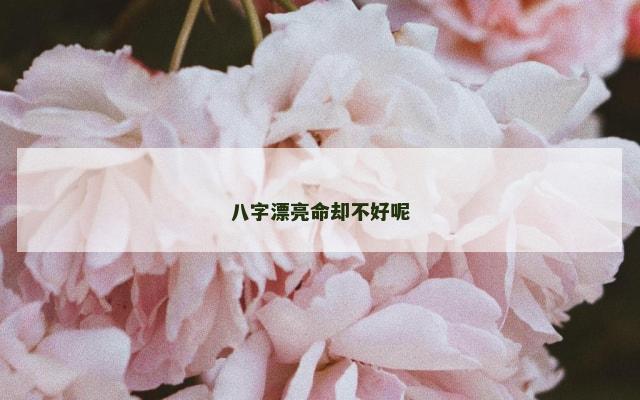 八字漂亮命却不好呢